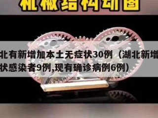 湖北有新增加本土无症状30例（湖北新增无症状感染者9例,现有确诊病例6例）