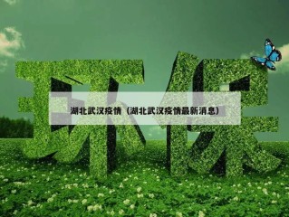 湖北武汉疫情（湖北武汉疫情最新消息）