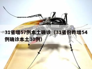 31省增57例本土确诊（31省份昨增54例确诊本土30例）
