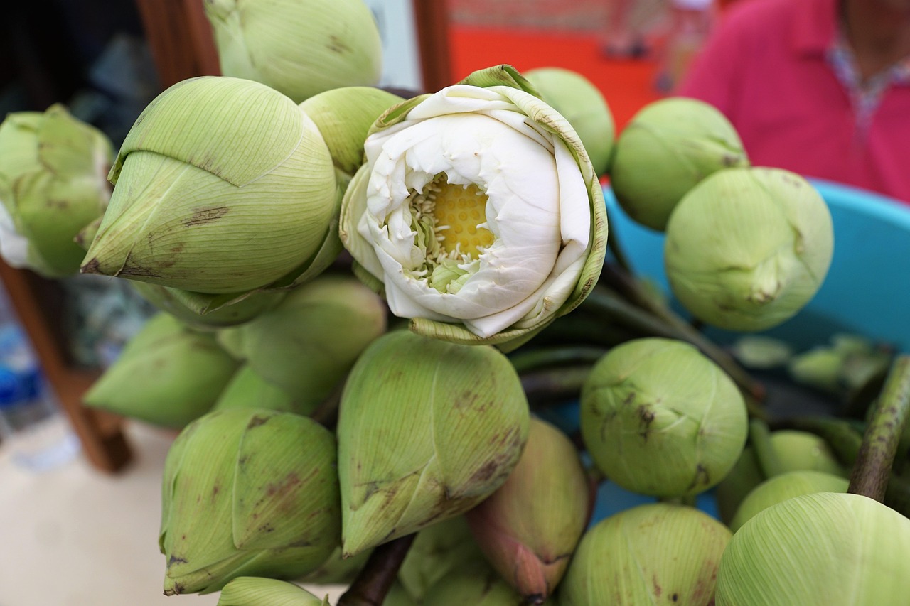 菠菜网最新平台网官方版免费版官方版下载-菠菜网最新平台网官方版_最新版下载v.7.53.90-安卓版 菠菜网最新平台网官方版免费版官方版下载-菠菜网最新平台网官方版_最新版下载v.7.53.90-安卓版